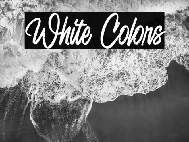 White Colors 字体 examples