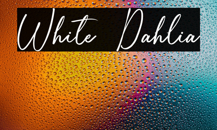 White Dahlia Example 3