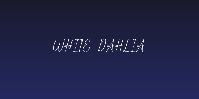 White Dahlia Social Header