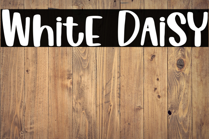 White Daisy Example 3