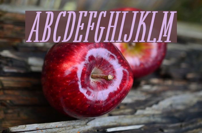 White Festive Bold Italic Demo Example 3