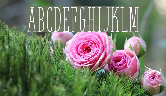 White Festive Demo Example 1