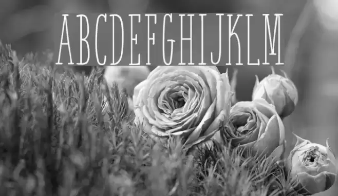 White Festive Demo Font examples