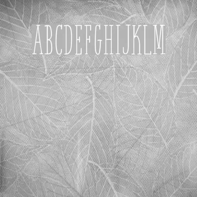 White Festive Demo Font examples