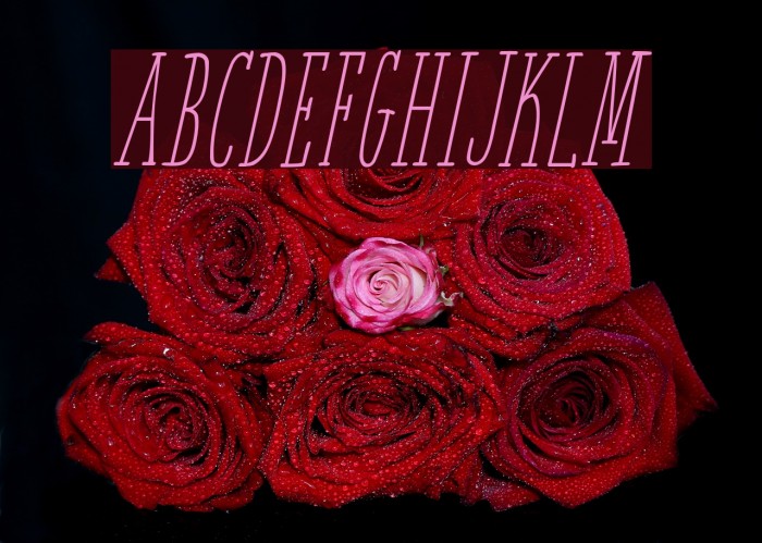 White Festive Italic Demo Example 3