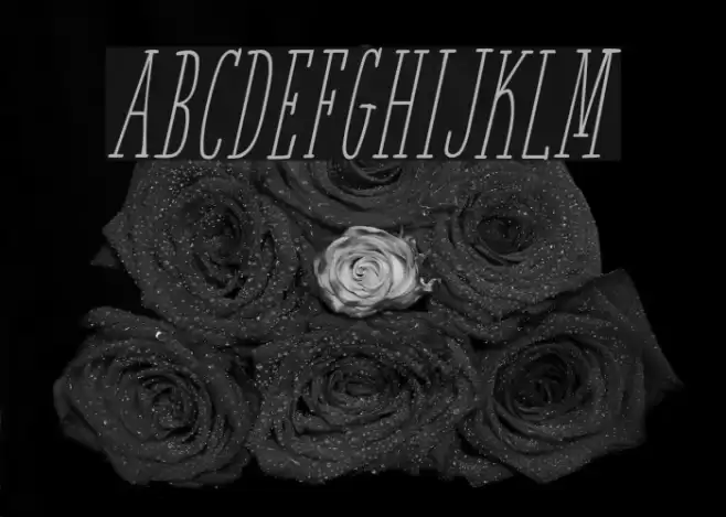 White Festive Italic Demo Font examples