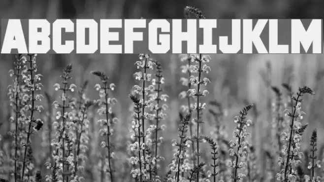 White Flame Font examples