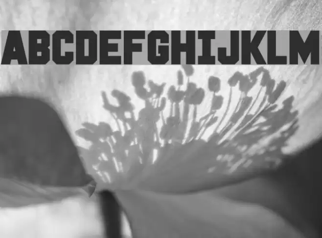 White Flame Font examples