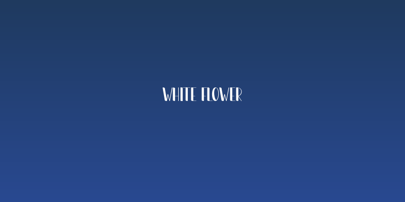 White Flower Social Header