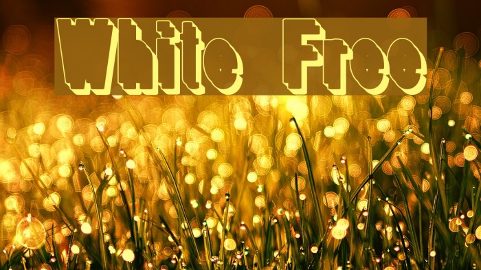 White Free Font examples