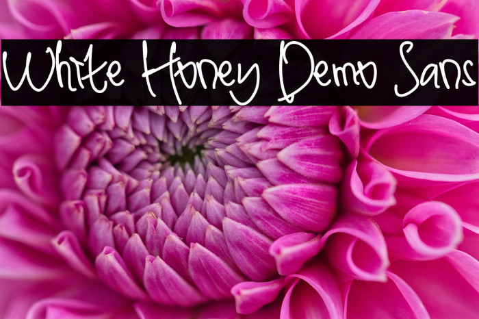White Honey Demo Sans Example 2
