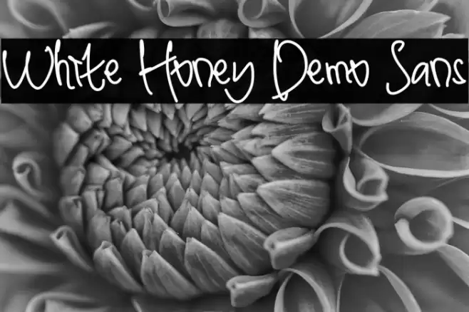 White Honey Demo Sans Font examples