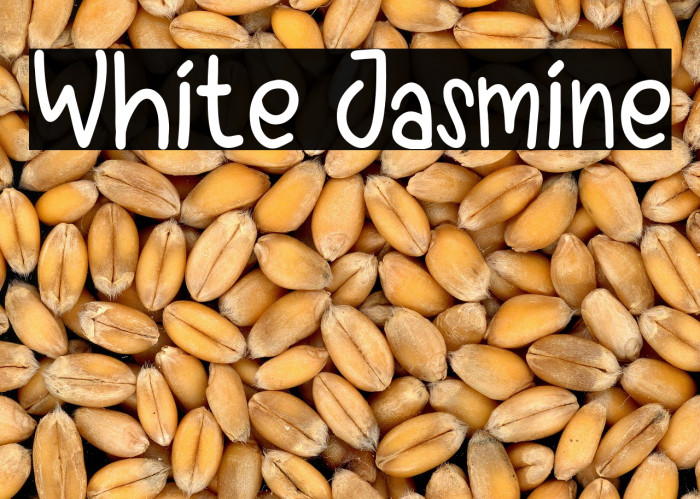 White Jasmine Example 1
