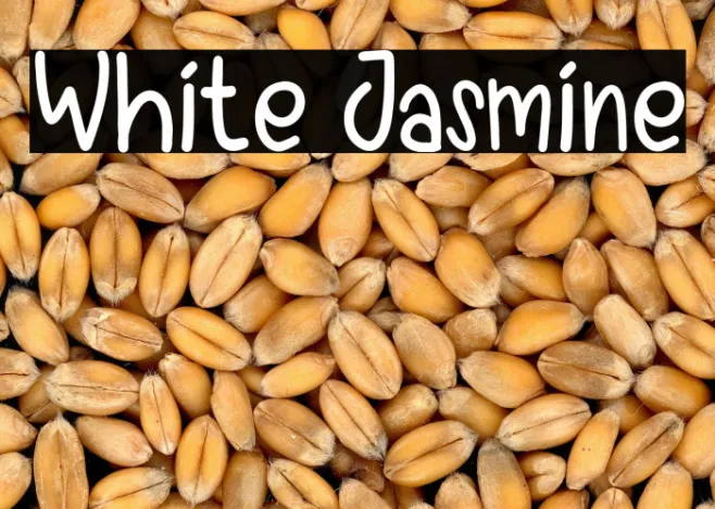 White Jasmine Example 1