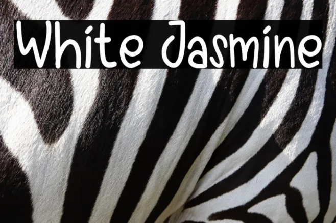 White Jasmine Example 2
