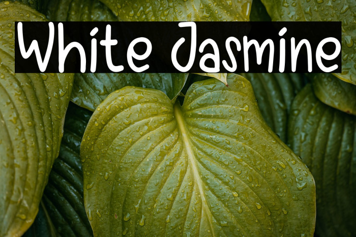 White Jasmine Example 3