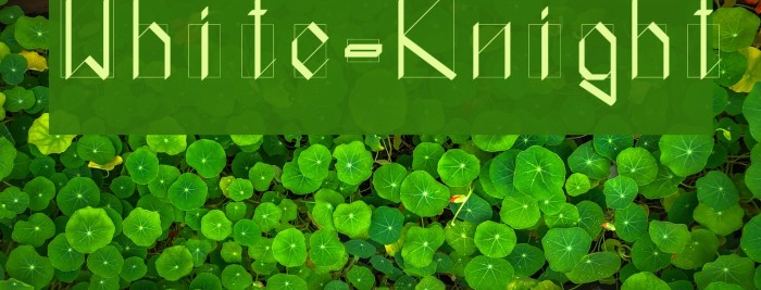 White-Knight Font examples
