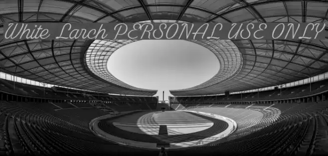 White Larch PERSONAL USE ONLY Polices examples