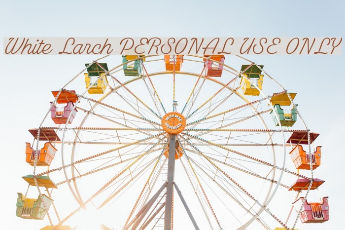 White Larch PERSONAL USE ONLY Font examples