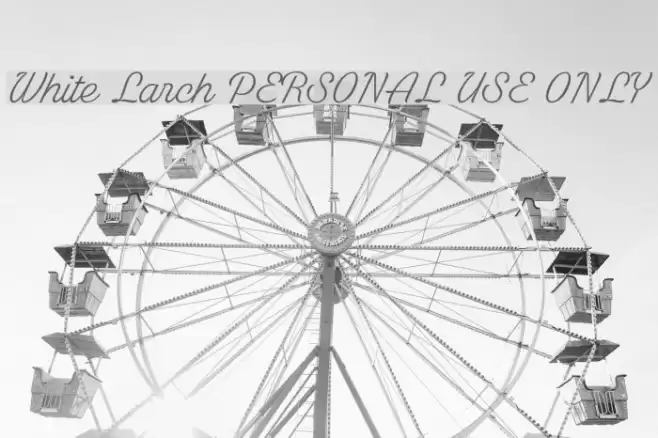 White Larch PERSONAL USE ONLY Polices examples