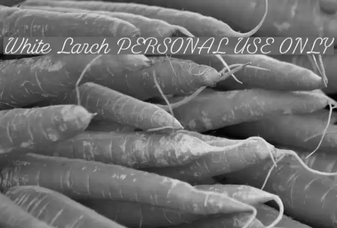 White Larch PERSONAL USE ONLY Polices examples