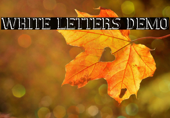 White Letters Demo Example 2