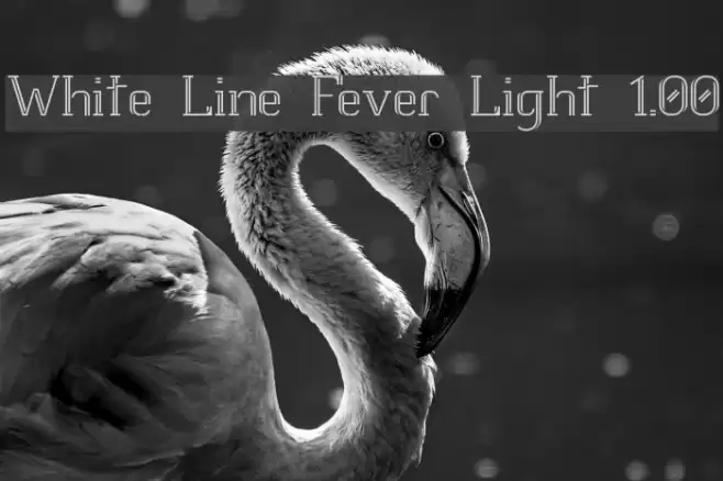 White Line Fever Light 1.00 Font examples