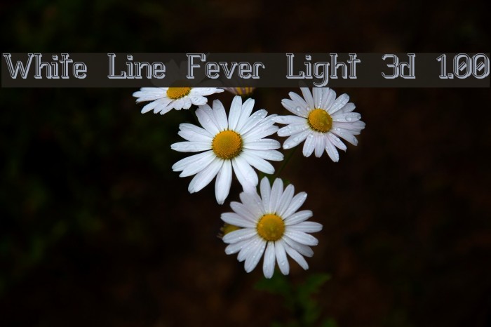White Line Fever Light 3d 1.00 Font examples