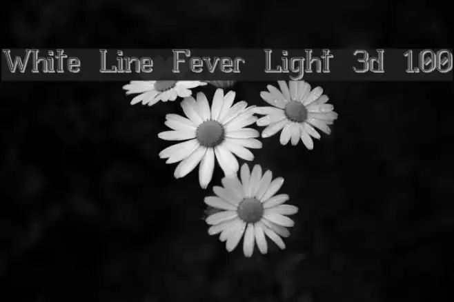 White Line Fever Light 3d 1.00 フォント examples