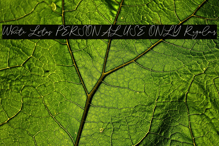 White Lotus PERSONAL USE ONLY Regular Example 1