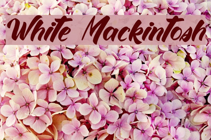 White Mackintosh Font examples