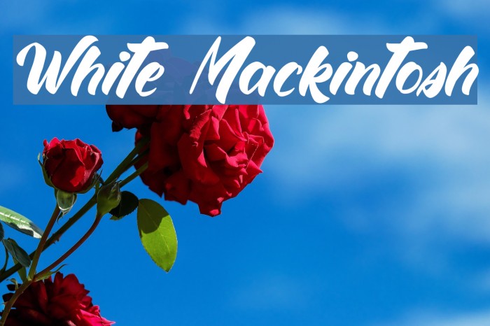 White Mackintosh Font examples