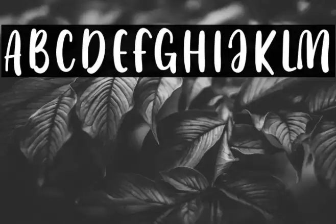 White Milk Font examples