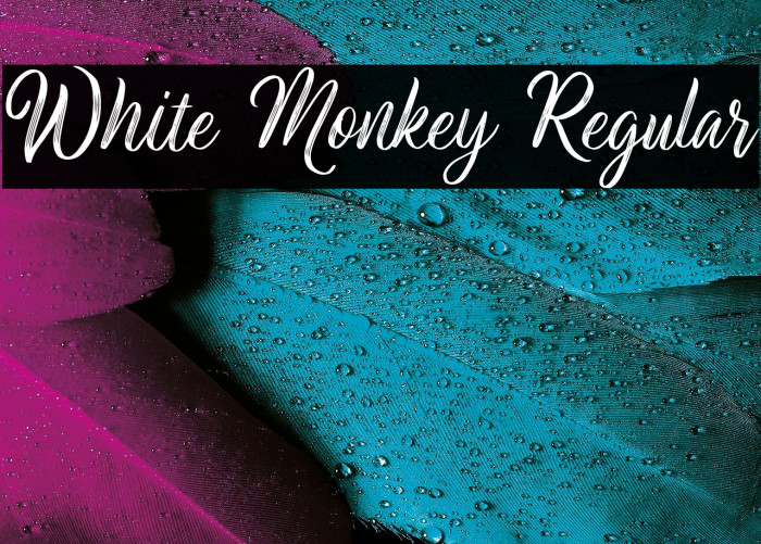 White Monkey Regular Example 3