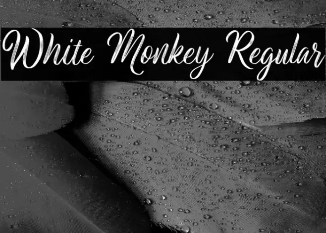 White Monkey Regular Font examples