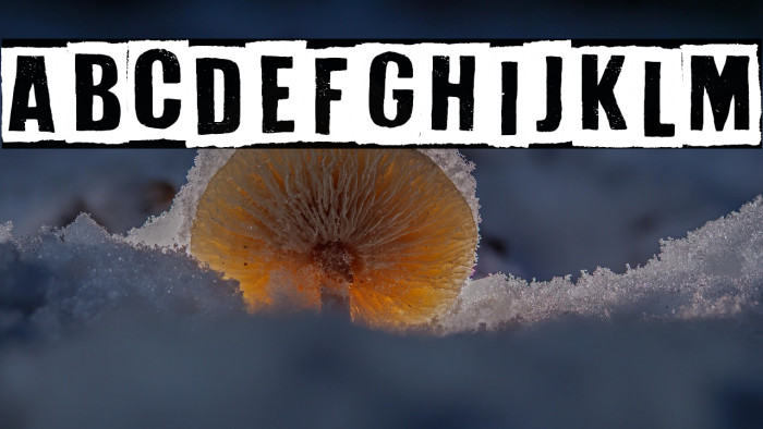 White On Black Example 1