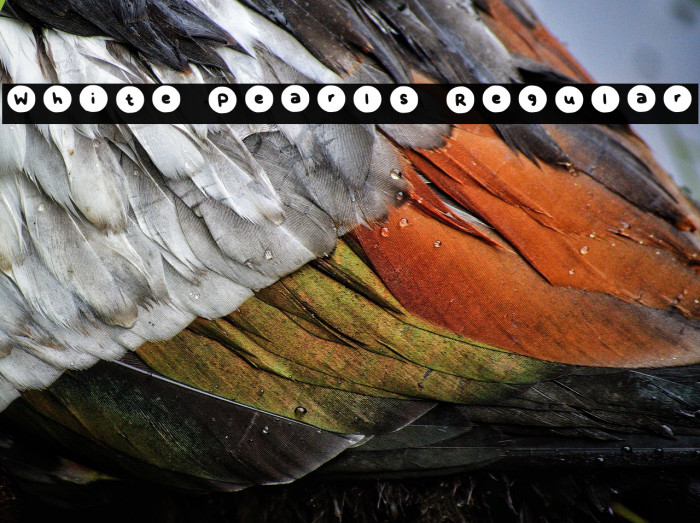 White Pearls Regular Example 2