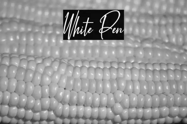 White Pen 字体 examples