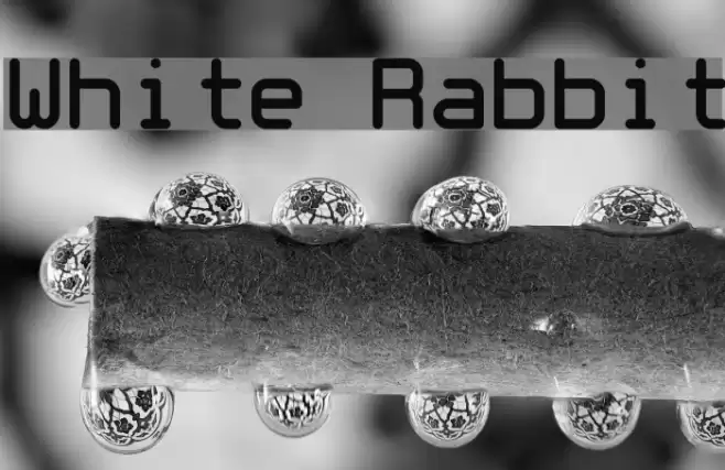 White Rabbit Font examples
