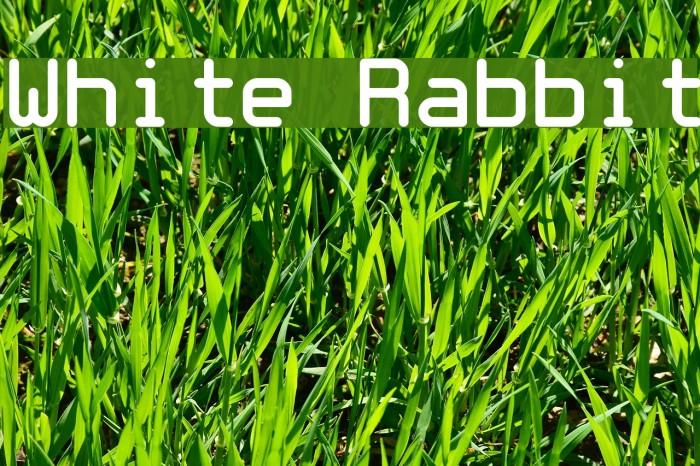 White Rabbit Font examples