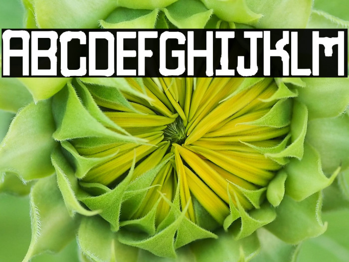 White Robot Example 3