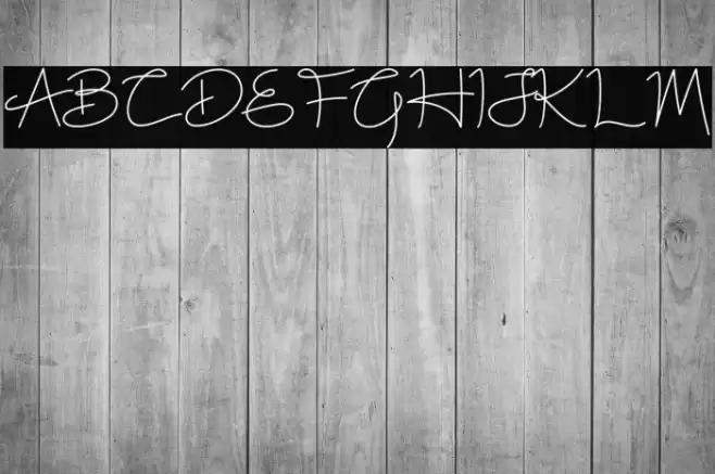 White Rose Font examples