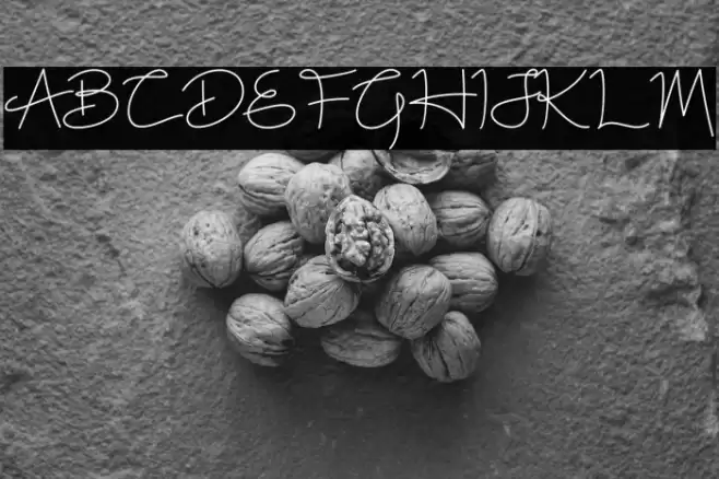 White Rose Font examples