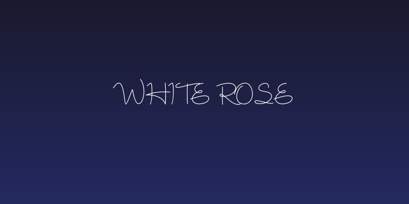 White Rose Social Header