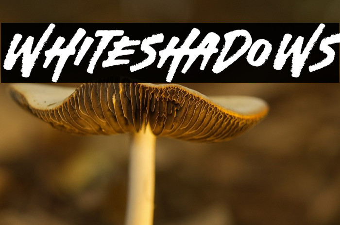 White Shadows Example 3