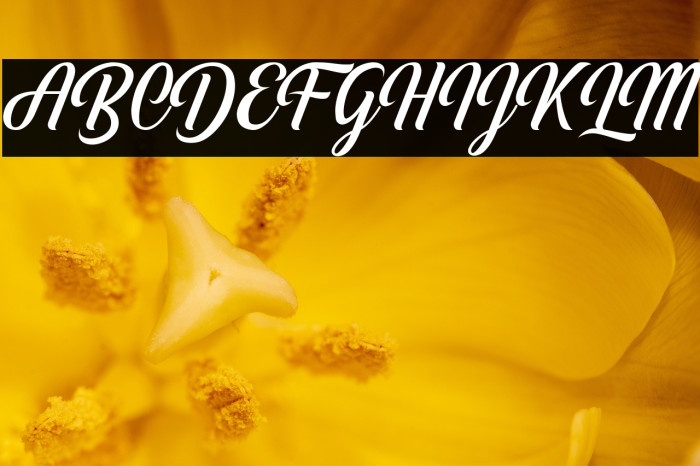 White Smith Example 1