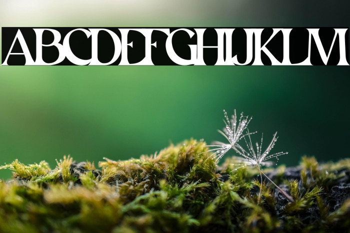 White Space personal use Example 2