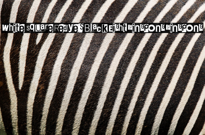 White Square Red Yes Black Eight Pingpong Pingpong Example 3