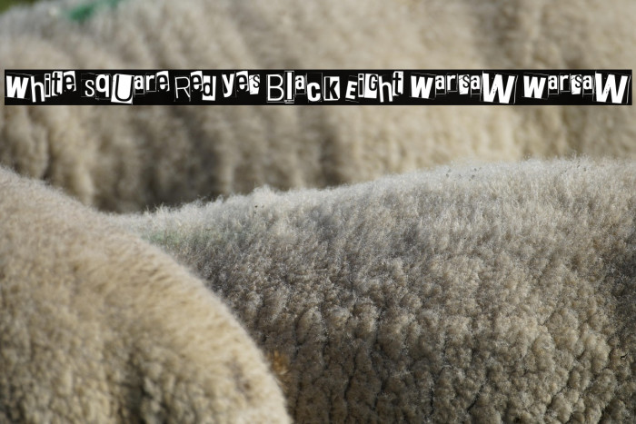 White Square Red Yes Black Eight Warsaw Warsaw Example 3