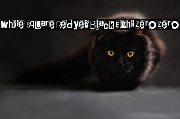 White Square Red Yes Black Eight Zero Zero Example 2